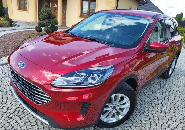 Ford Kuga cena 81999 przebieg: 18000, rok produkcji 2022 z Tarnów małe 631